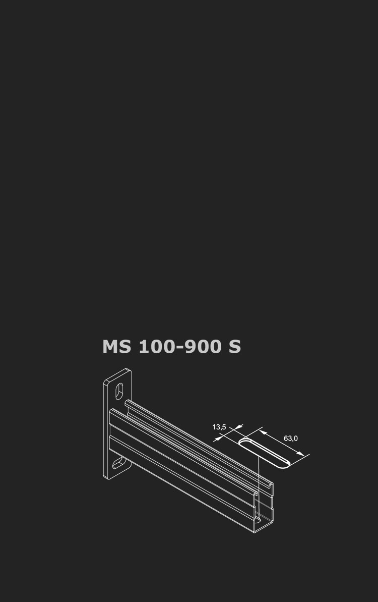 MS S